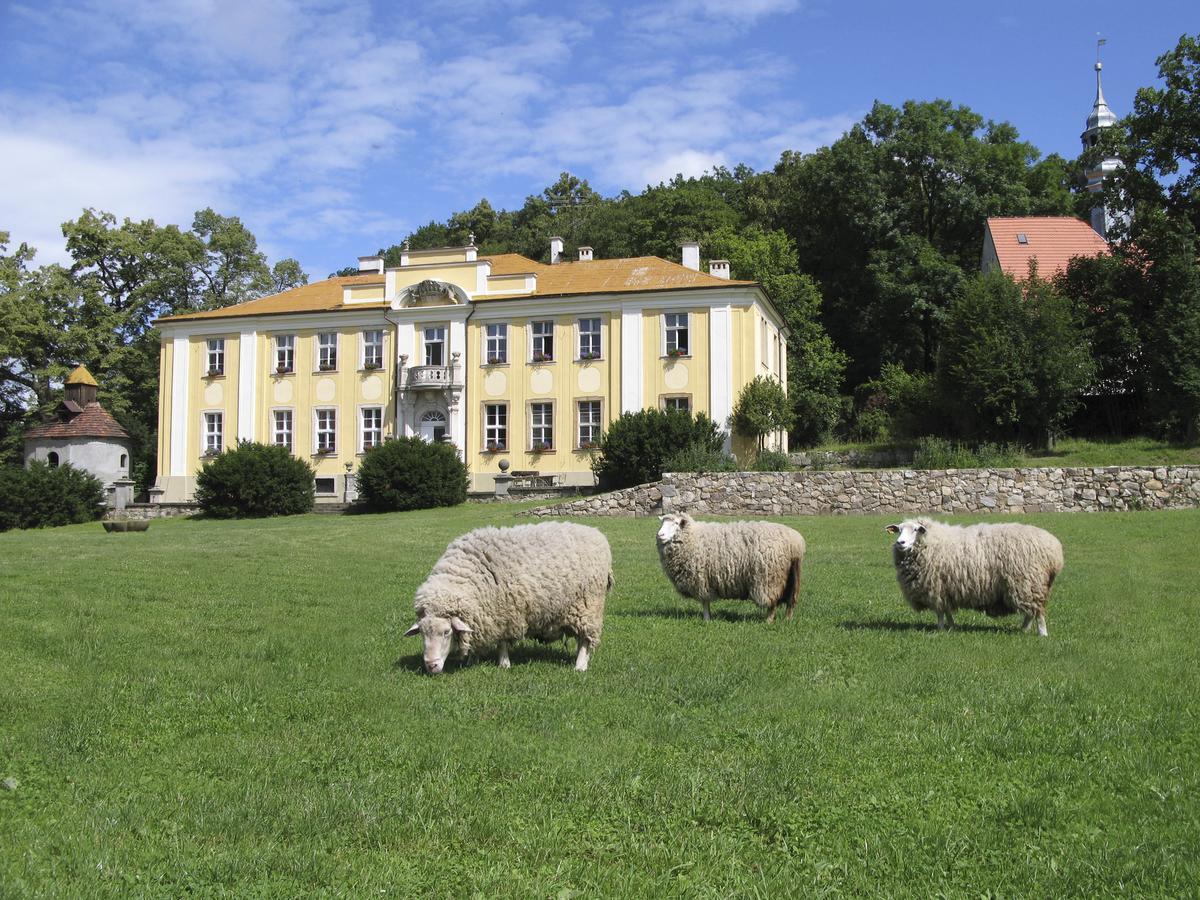 Dom Goscinny Pod Zamkiem Wlen Exterior foto